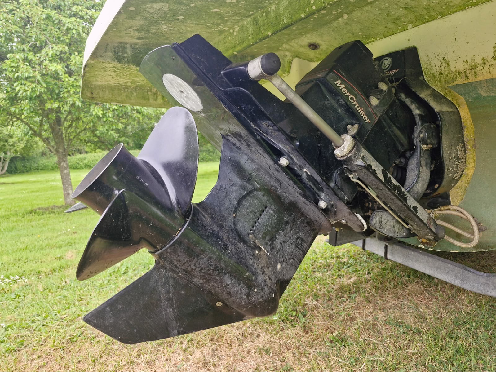 Bayliner 642 – Thea