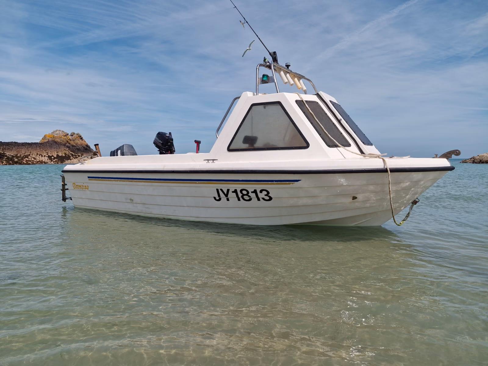 Warrior 165 MK1 – Bronzino