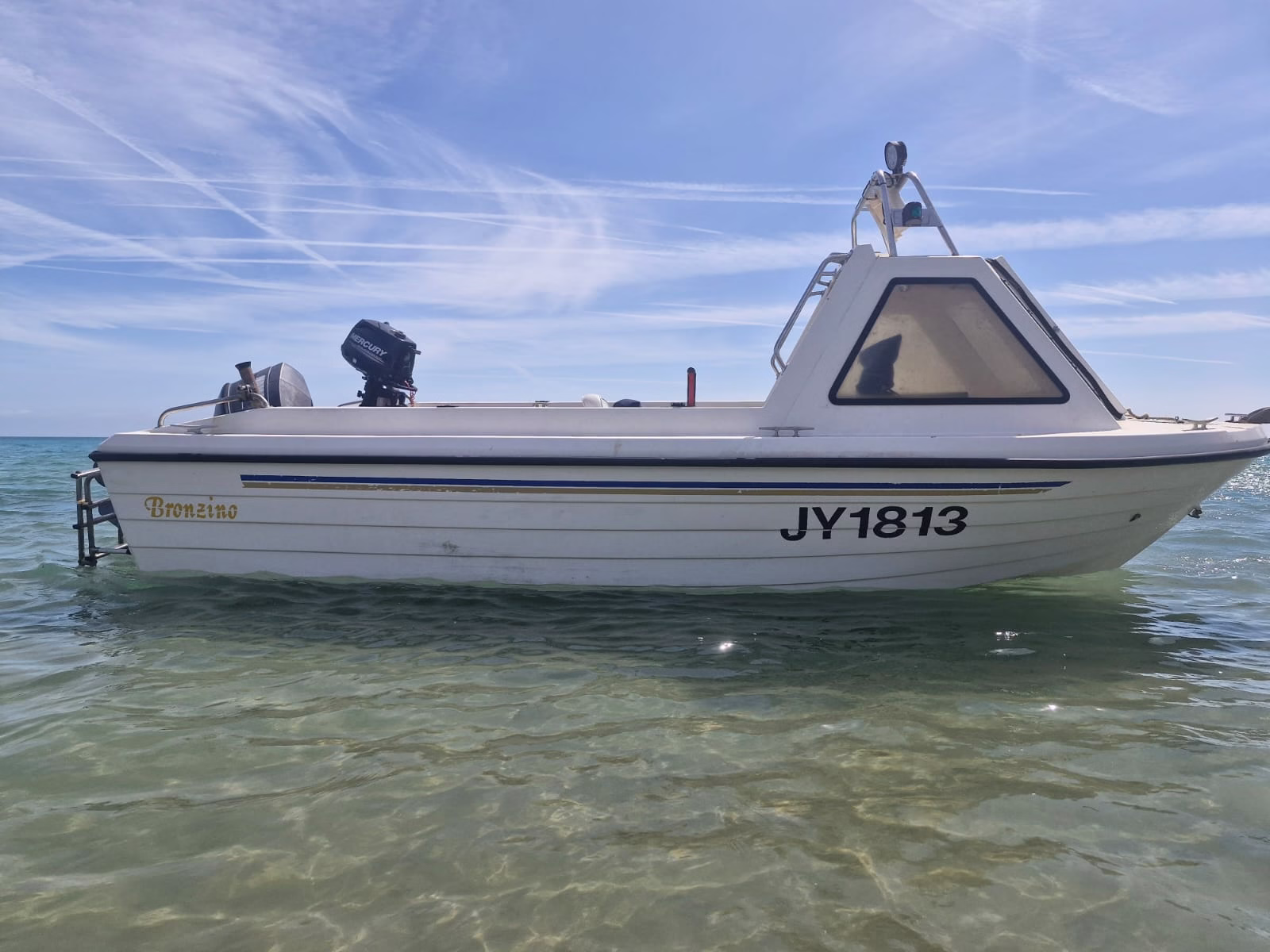 Warrior 165 MK1 – Bronzino