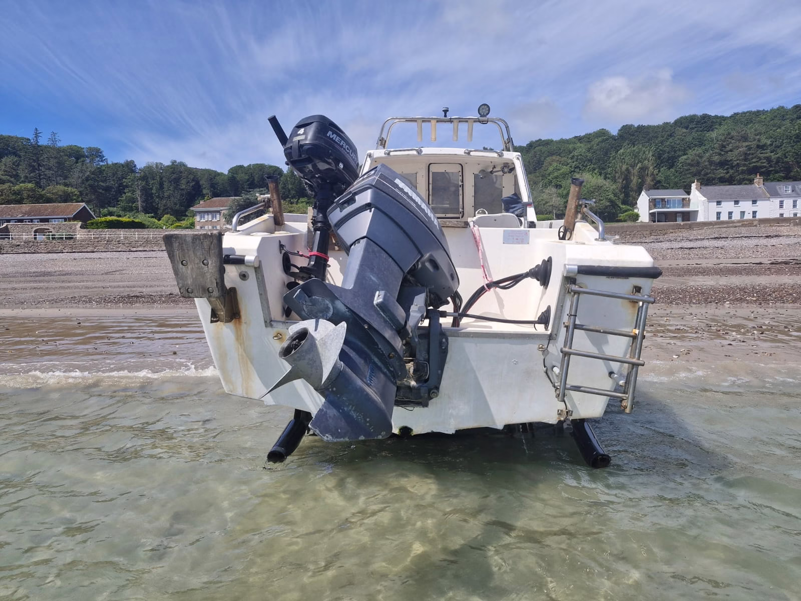 Warrior 165 MK1 – Bronzino