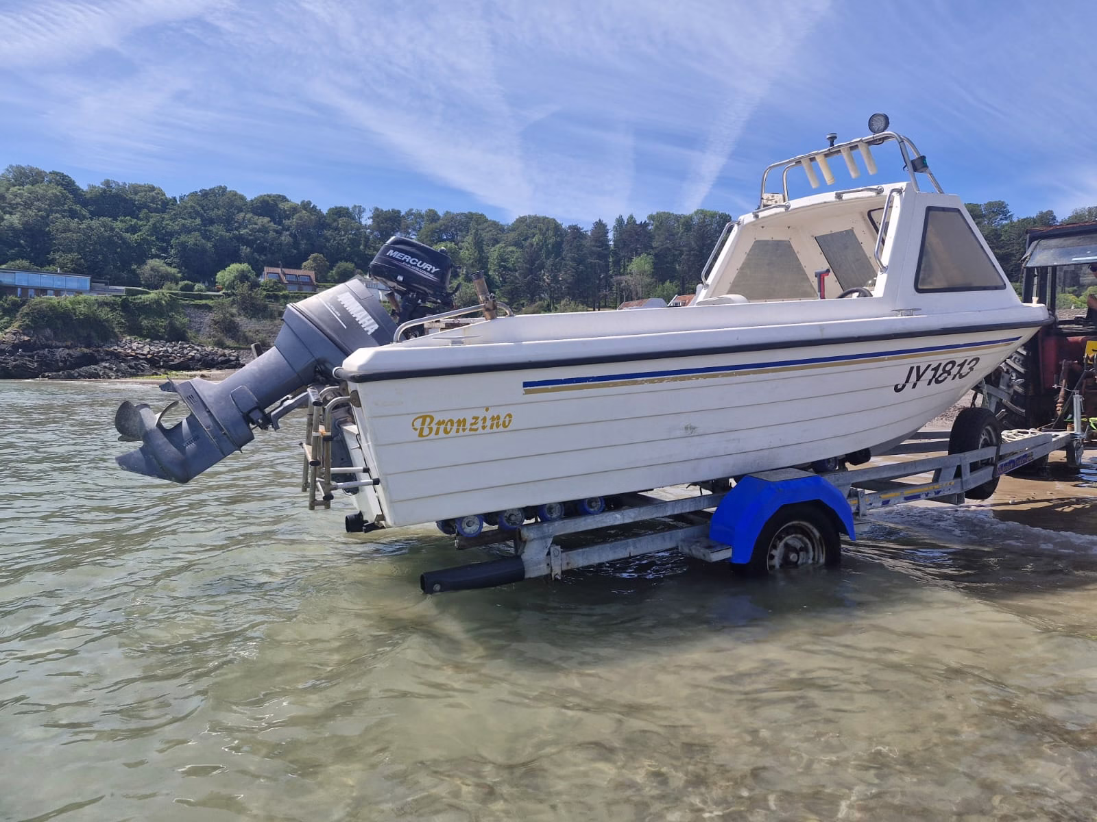 Warrior 165 MK1 – Bronzino