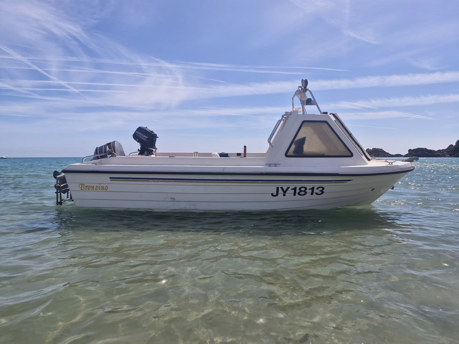Warrior 165 MK1 – Bronzino