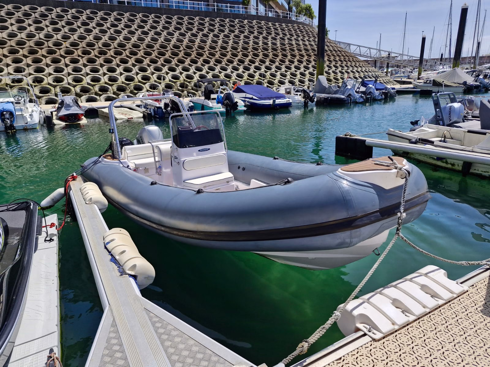 Predator 599 – Kohi