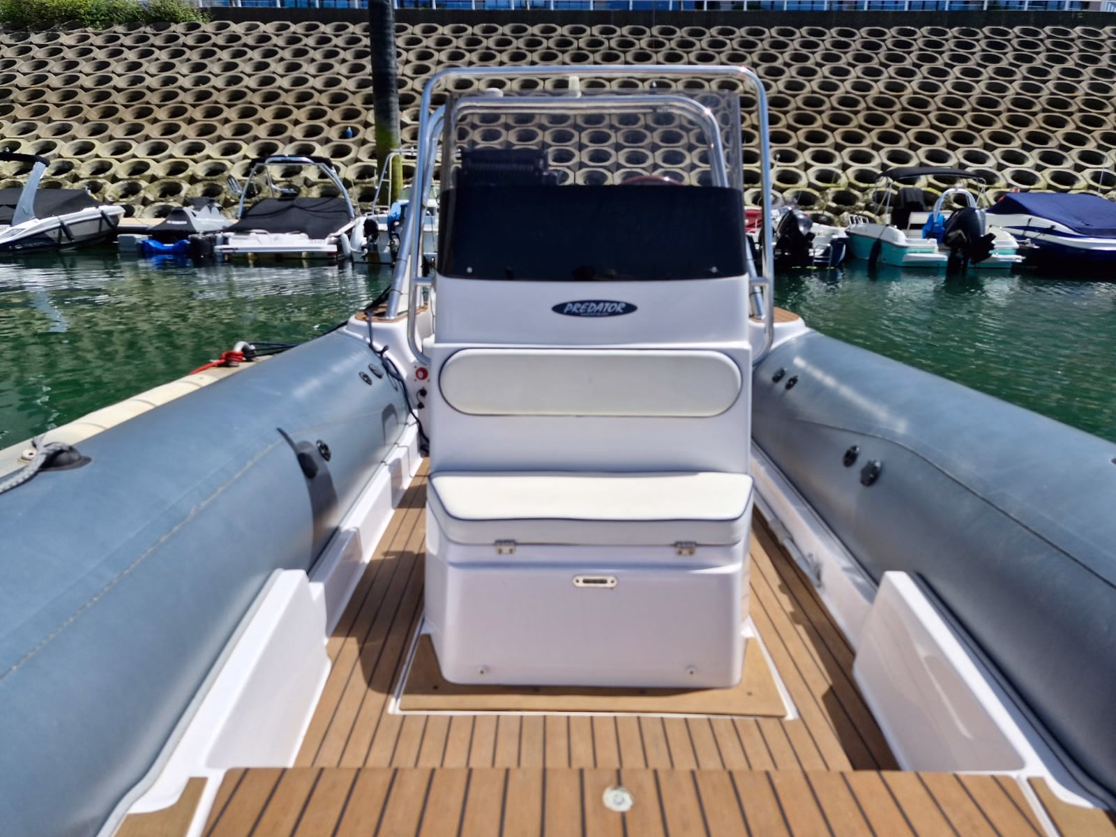 Predator 599 – Kohi
