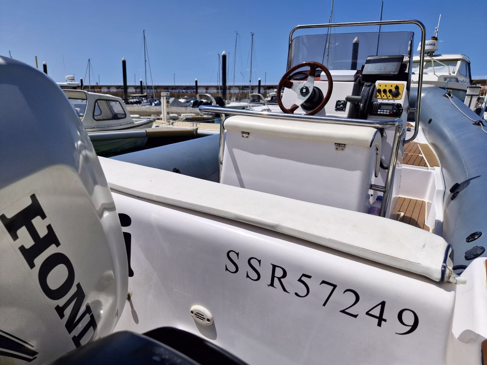 Predator 599 – Kohi