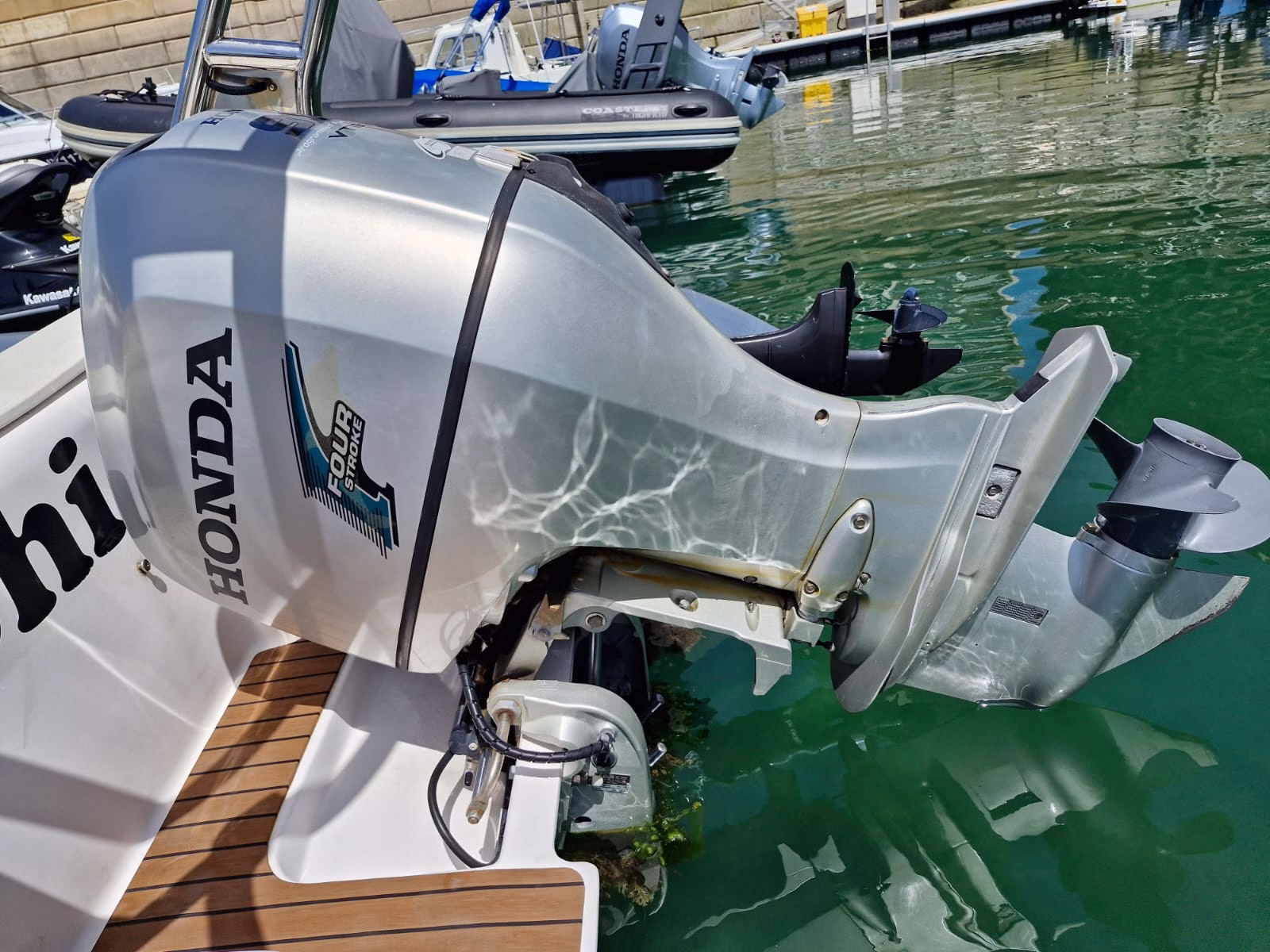 Predator 599 – Kohi