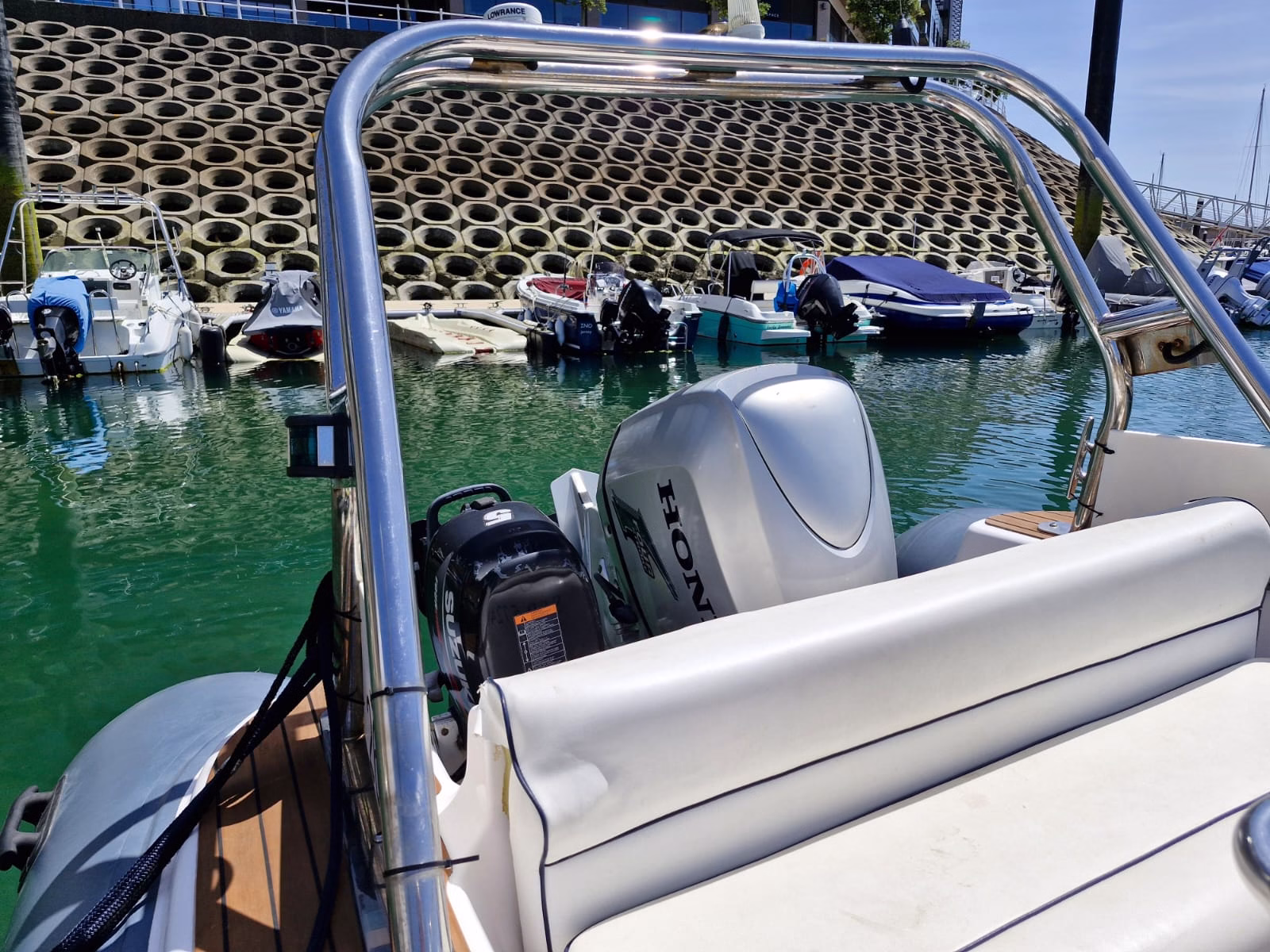 Predator 599 – Kohi