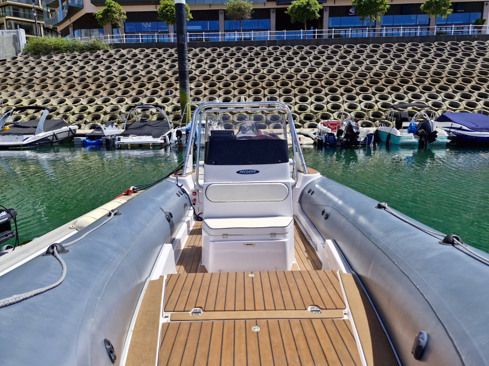 Predator 599 – Kohi