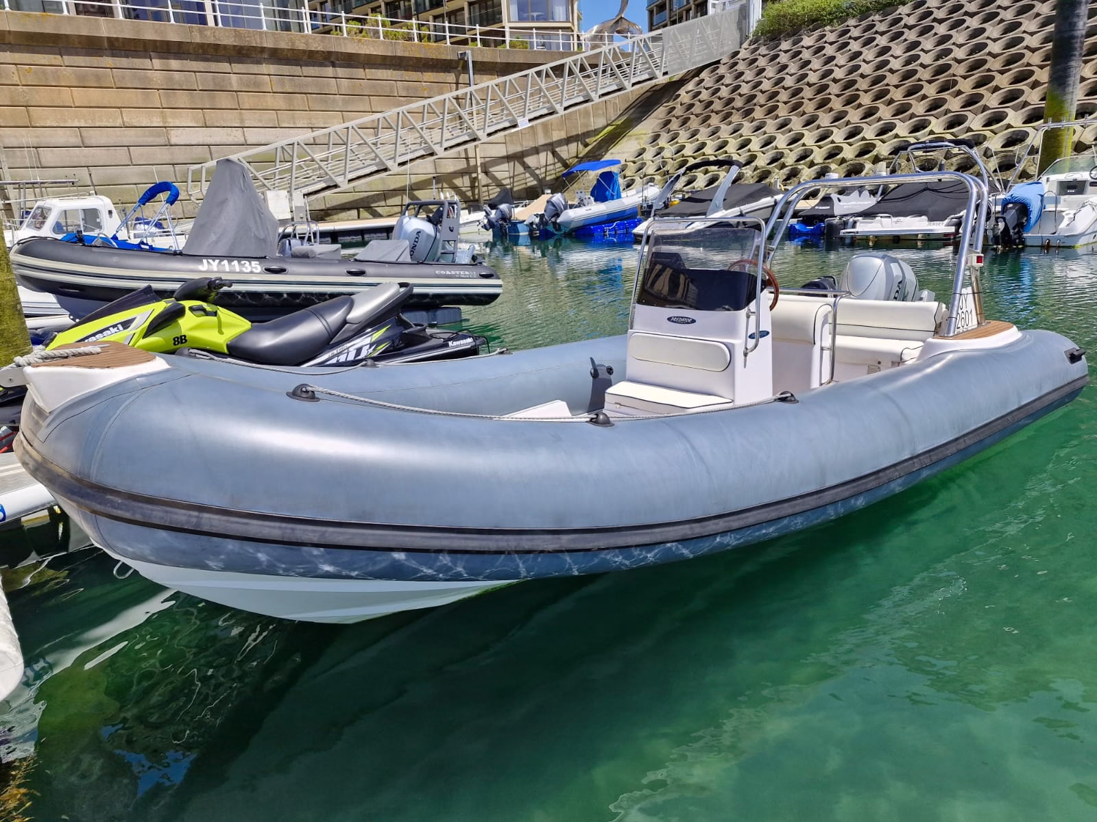 Predator 599 – Kohi