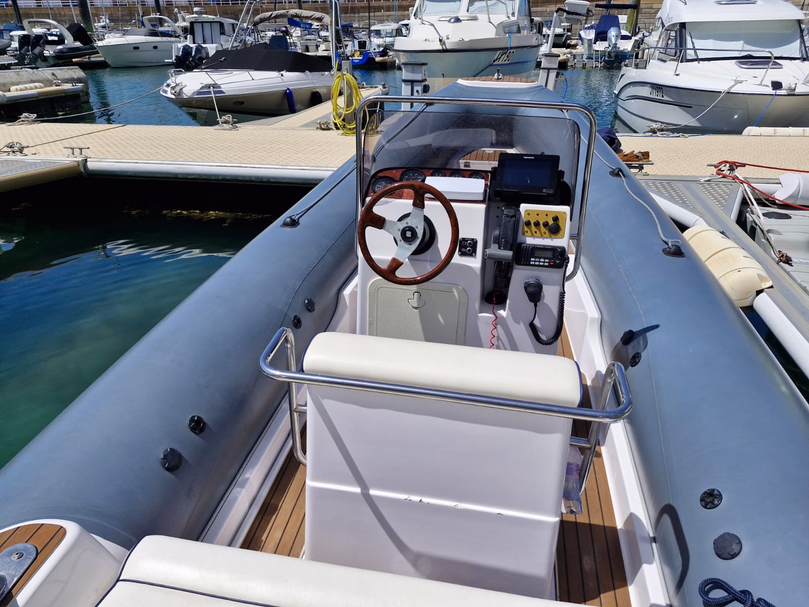 Predator 599 – Kohi